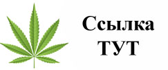 Купить наркотики в Ленинск-Кузнецком